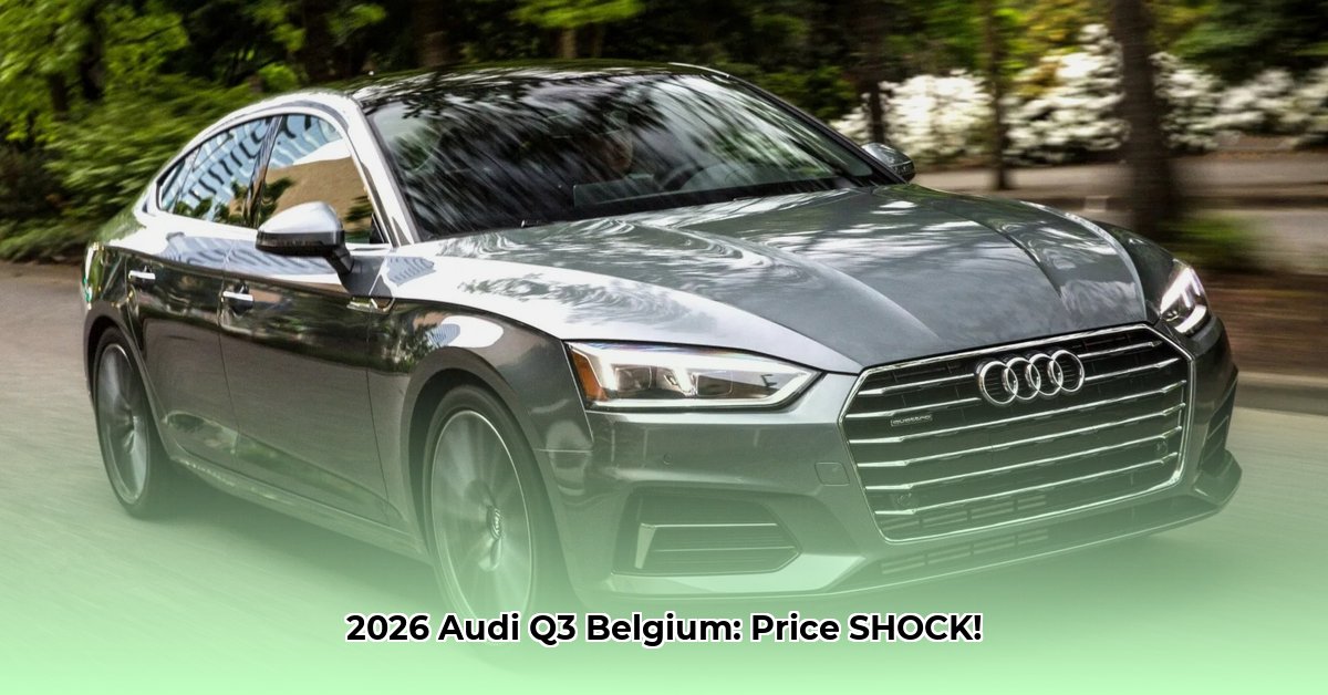 audi-q3-prijs